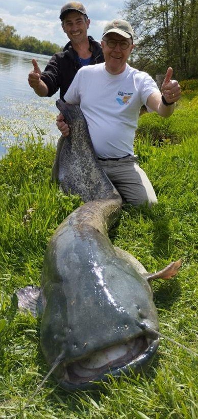 Découvrez les méthodes les plus efficaces pour attraper des silures sur le Tarn Dans cette section, nous vous présentons les différentes techniques de pêche au silure et les astuces pour augmenter vos chances de réussite. Parmi les méthodes les plus courantes, on trouve la pêche à la bouée (ou au cassant), la pêche en vertical, la pêche au lancer. Chacune de ces techniques a ses spécificités et ses avantages. Pour bien choisir, il est important de connaître le comportement du silure et les conditions météorologiques. N’hésitez pas à expérimenter et à adapter votre approche en fonction de la situation. Pour en savoir plus sur ces techniques et d’autres astuces, consultez ma page dédié à la pêche au silure sur le Tarn et le Lot