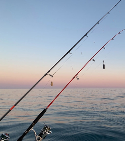 Pêche du Bord Tout d’abord, pour la pêche du bord, mes ensembles de cannes varient entre 1,80 m et 3,90 m (et plus) avec des puissances allant de 2 g à 500 g, adaptées aux techniques employées. La longueur de la canne offre plusieurs avantages, tels qu’une approche discrète, une meilleure gestion de la ligne à distance et un gain en distance de lancer. Cela est très utile lorsque l’on pêche dans de grands espaces, tels que le fleuve Garonne, les rivières Tarn, Aveyron et Lot.