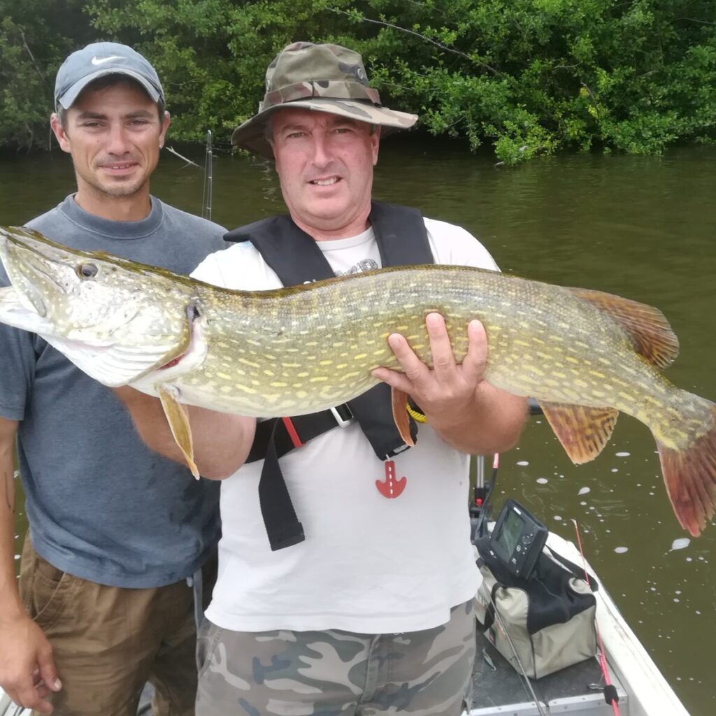 Je m’appelle Bruno et je suis un Moniteur Guide de Pêche expérimenté en Tarn et Garonne (82) et Lot (46), dans la magnifique région Occitanie. Ayant grandi dans un environnement riche en faune et flore, situé entre les massifs vosgiens et jurassiens, j’ai rapidement développé une passion pour la pêche dans les divers milieux aquatiques : ruisseaux, rivières, étangs et lacs. Cela m’a permis de maîtriser différentes techniques de pêche pour attraper diverses espèces telles que les truites, ombres, brochets, perches, sandres, black-bass, silures, carpes et bien d’autres encore. Souhaitant partager ma passion et mon expérience avec le plus grand nombre, j’ai obtenu en 2005 un Diplôme d’Etat de Moniteur Accompagnateur Guide de Pêche, me permettant d’enseigner et promouvoir la pêche de loisir. Mon rôle en tant que Moniteur Guide de Pêche est de transmettre les valeurs liées à ce sport, telles que le respect de la nature et de son écosystème, tout en aidant les personnes à découvrir ou se perfectionner dans cet univers halieutique.